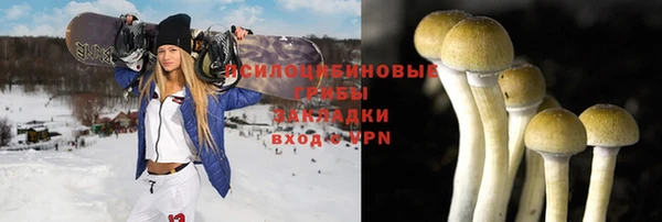 mdpv Козельск