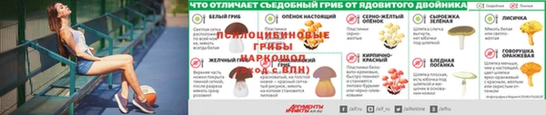 mdpv Козельск