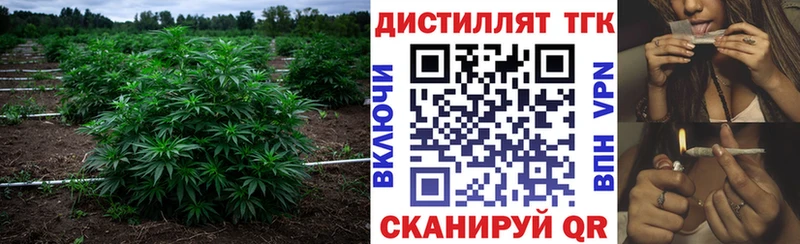 Дистиллят ТГК гашишное масло Севск