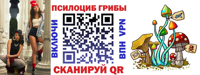 Галлюциногенные грибы Cubensis как найти закладки Севск